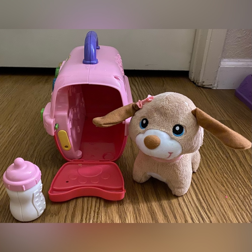 Vtech dog carrier and stuffed dog.